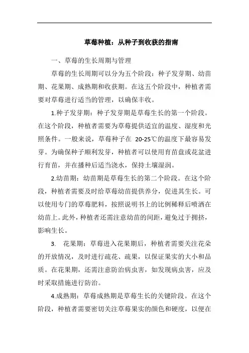 草莓种植：从种子到收获的指南