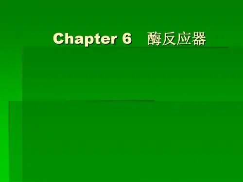 第六章 酶反应器
