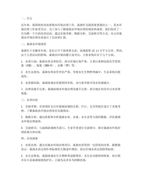 巢湖水环境治理实训报告