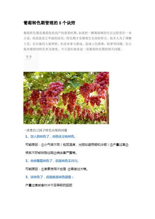 葡萄转色期管理的5个诀窍