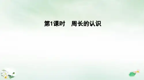 三年级上册数学习题-第六单元 长方形和正方形的周长第1课时 冀教版