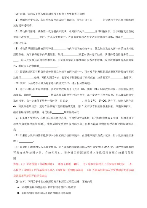 胚胎