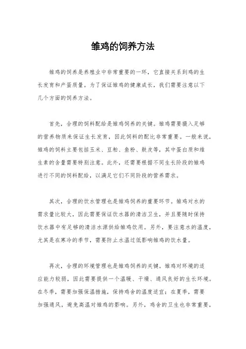 雏鸡的饲养方法