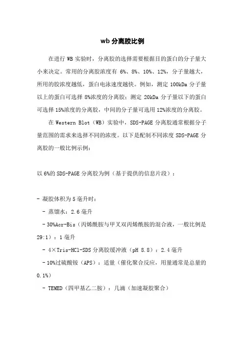 wb分离胶比例