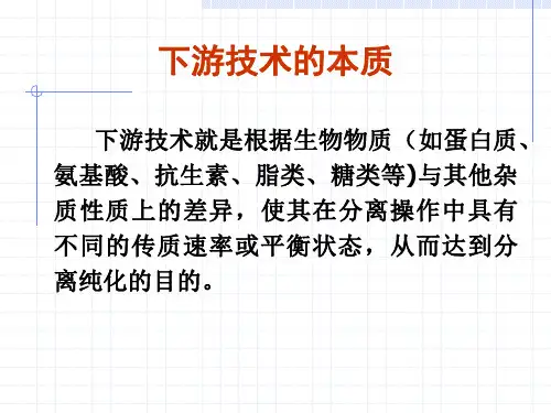 下游技术的理论基础26页