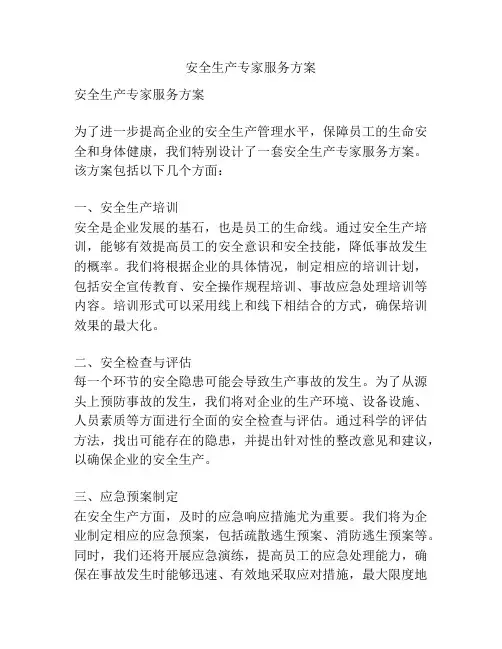安全生产专家服务方案