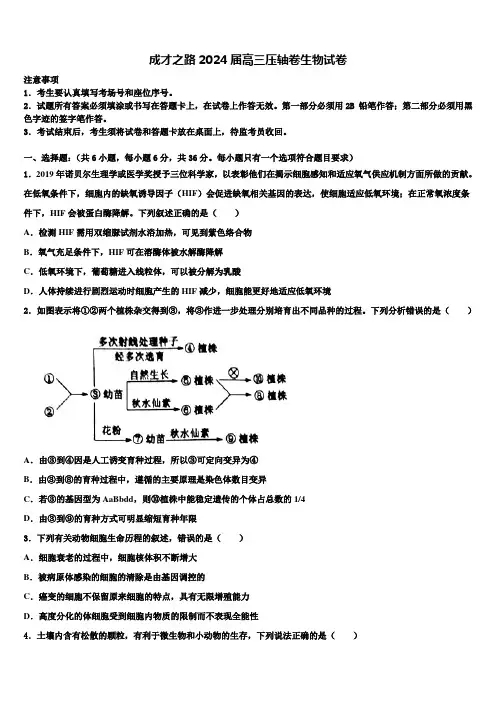 成才之路2024届高三压轴卷生物试卷含解析