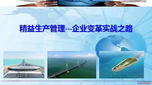 企业变革实战之路PPT课件