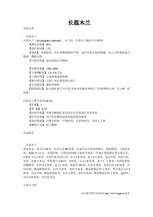 长蕊木兰