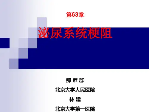 第63章 泌尿系统梗阻(那彦群,林建)