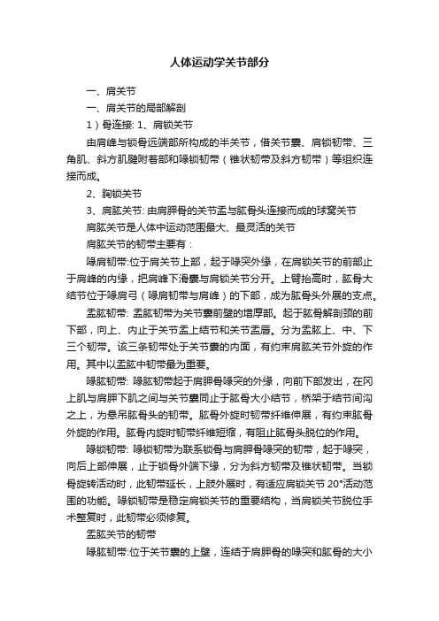人体运动学关节部分