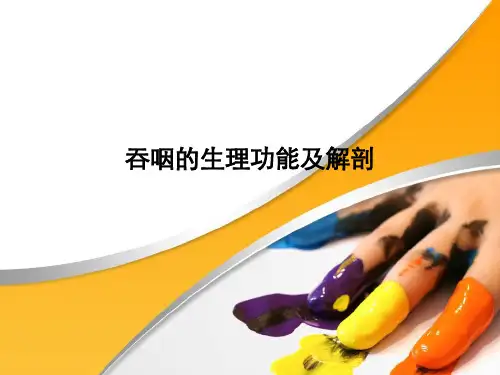 吞咽的生理功能及解剖解读