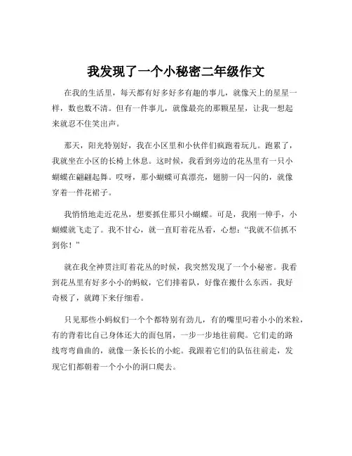 我发现了一个小秘密二年级作文