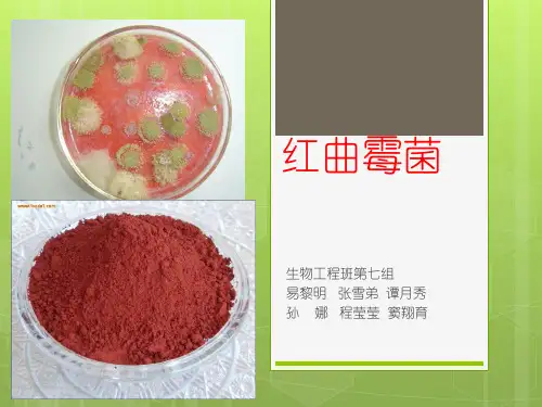 红曲霉菌