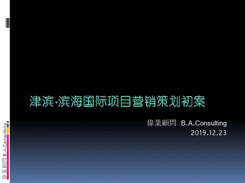 伟业-天津市津滨滨海国际项目营销策划方案-117PPT118页PPT文档