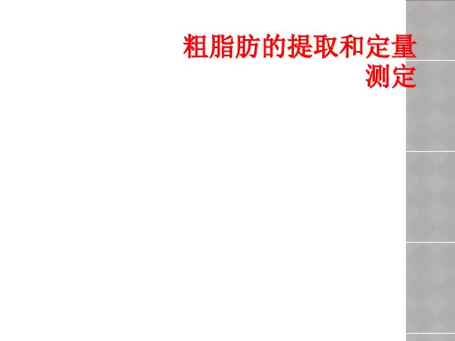 粗脂肪的提取和定量测定