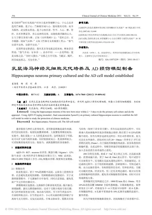 乳鼠海马神经元细胞元代培养及AD损伤模型制备