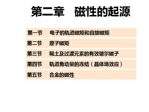 第二章磁性的起源