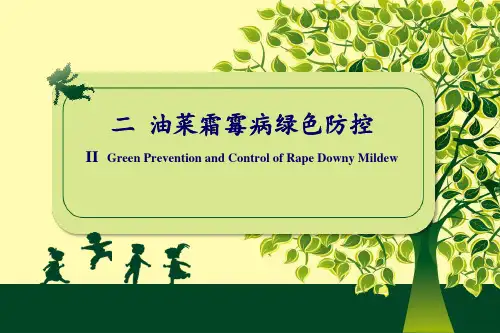 植物病虫害绿色防控技术教学课件(含英文)：油菜霜霉病绿色防控(双语)