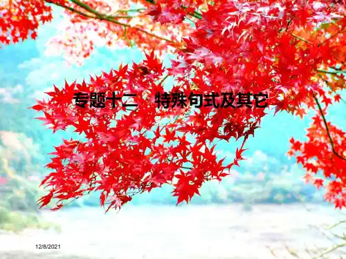 高考英语二轮复习 第二部分 基础语法巧学巧练 专题十二 特殊句式及其它课件