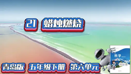 青岛版科学五年级下册21蜡烛燃烧课件PPT2022新版