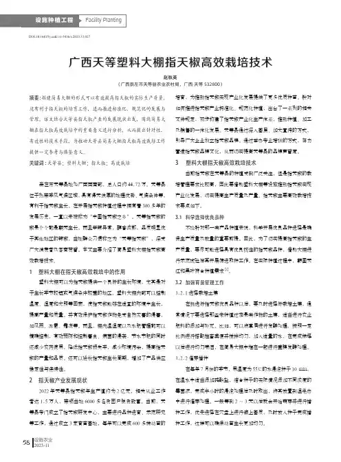 广西天等塑料大棚指天椒高效栽培技术