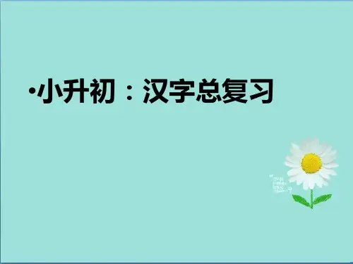 2020年小升初语文精选复习资料：小升初汉字总复习1PPT课件