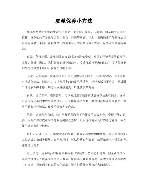 皮革保养小方法