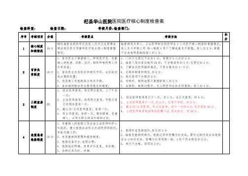 十八项医疗核心制度督查表