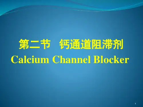 钙通道阻滞剂