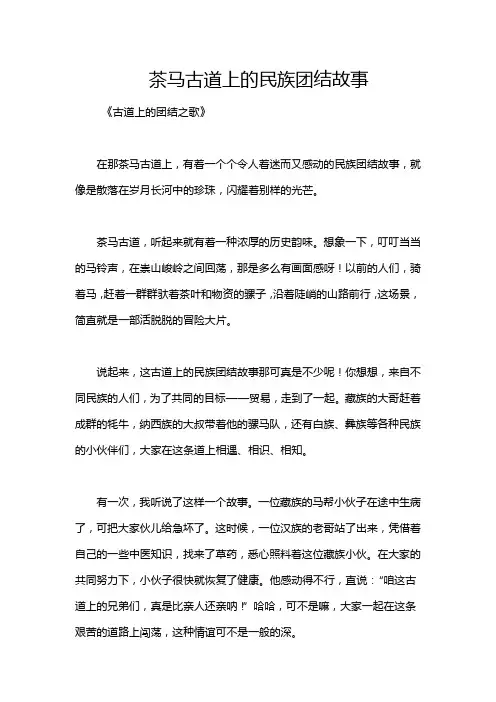 茶马古道上的民族团结故事