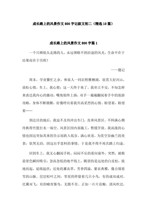 成长路上的风景作文800字记叙文初二