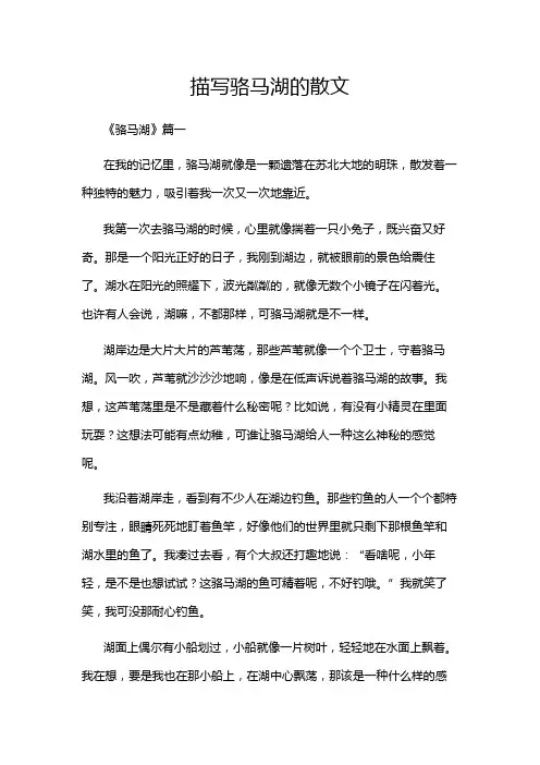 描写骆马湖的散文