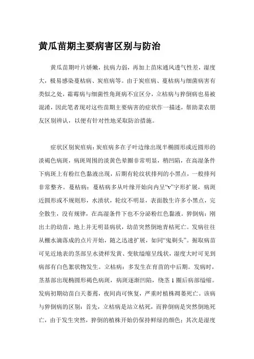 黄瓜苗期主要病害区别与防治