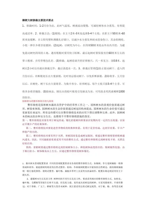 樟树大树移栽主要技术要点