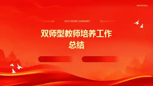 双师型教师培养工作总结PPT