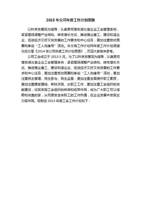 2015年公司年度工作计划思路
