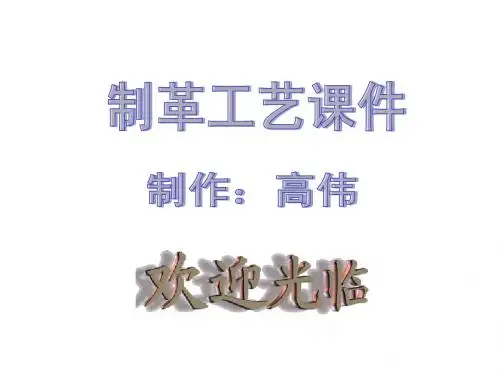 皮革制造工艺6