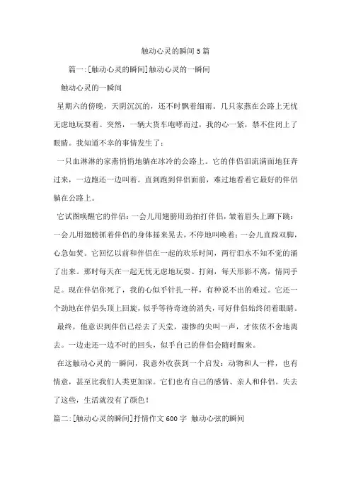 触动心灵的瞬间5篇