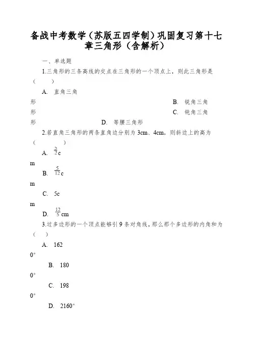备战中考数学(苏版五四学制)巩固复习第十七章三角形(含解析)