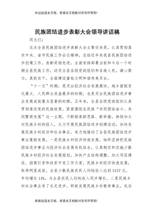 民族团结进步表彰大会领导致辞稿