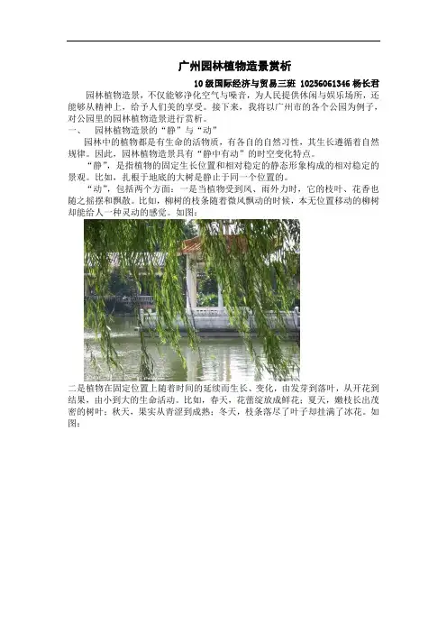园林植物造景赏析