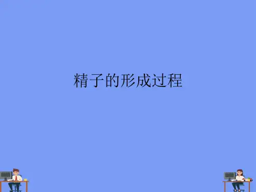 (2021)精子的形成过程完美版PPT