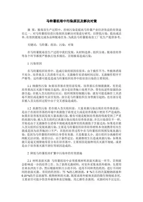 马铃薯组培中污染原因及解决对策