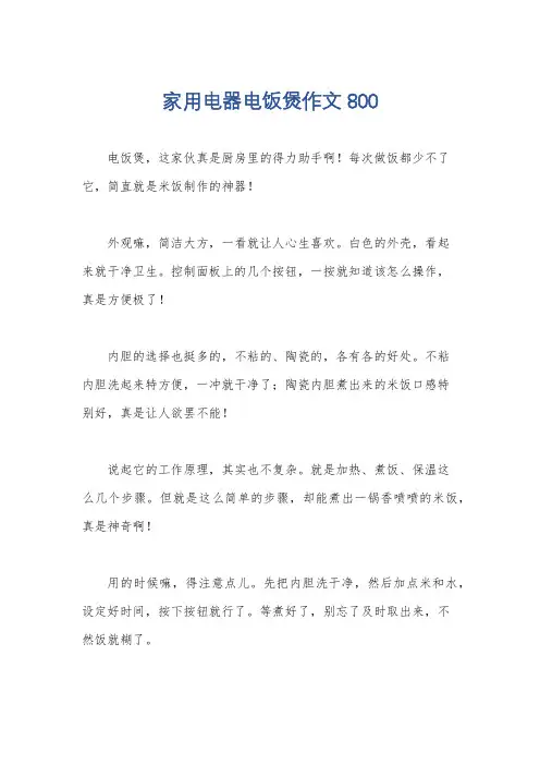 家用电器电饭煲作文800