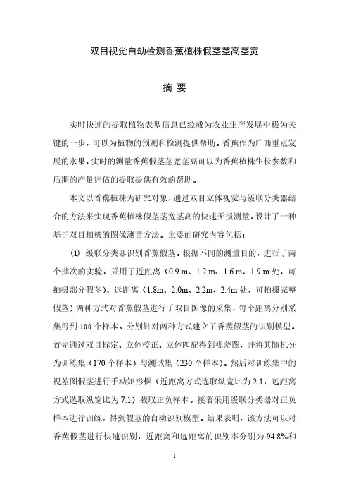 双目视觉自动检测香蕉植株假茎茎高茎宽
