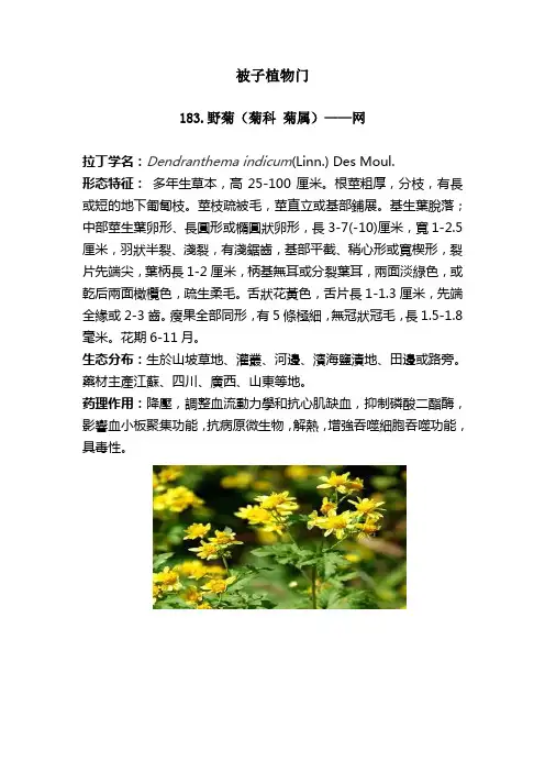 被子植物门(183-222)