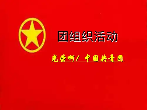 《光荣啊,中国共青团》主题班会ppt课件
