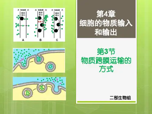 跨膜运输方式