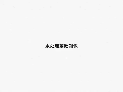 水处理基础知识课件PPT